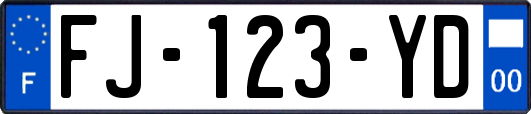 FJ-123-YD