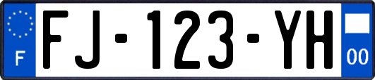 FJ-123-YH