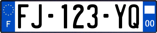 FJ-123-YQ