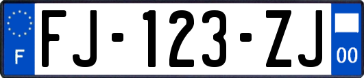 FJ-123-ZJ