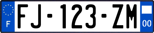 FJ-123-ZM