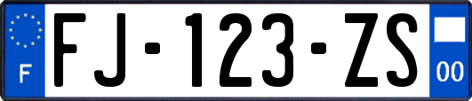 FJ-123-ZS