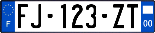 FJ-123-ZT