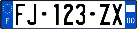 FJ-123-ZX