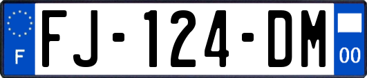 FJ-124-DM