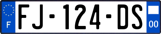 FJ-124-DS