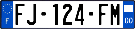 FJ-124-FM