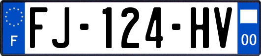 FJ-124-HV