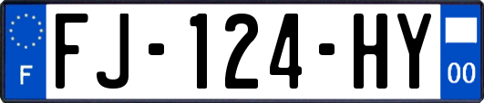 FJ-124-HY