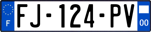 FJ-124-PV