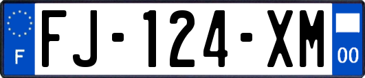 FJ-124-XM