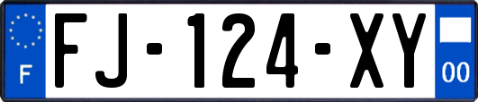 FJ-124-XY