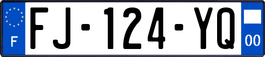 FJ-124-YQ