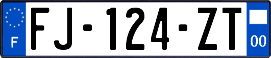 FJ-124-ZT