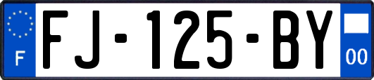 FJ-125-BY