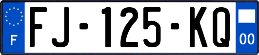 FJ-125-KQ