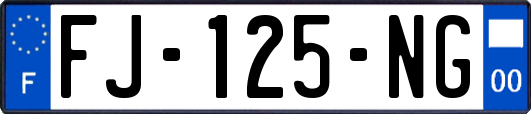 FJ-125-NG
