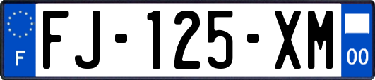 FJ-125-XM