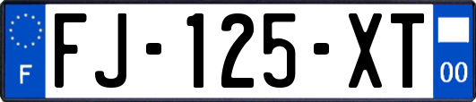 FJ-125-XT
