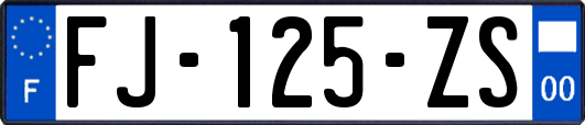 FJ-125-ZS