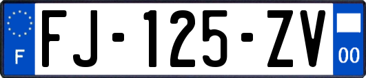 FJ-125-ZV