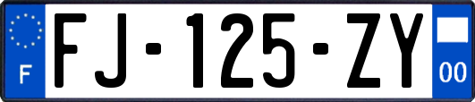 FJ-125-ZY