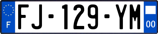 FJ-129-YM