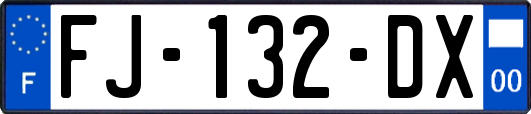FJ-132-DX