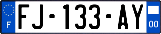 FJ-133-AY