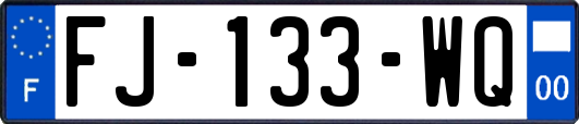 FJ-133-WQ