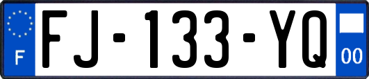 FJ-133-YQ