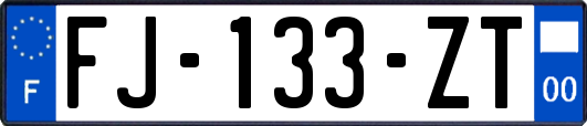 FJ-133-ZT