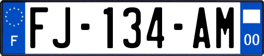 FJ-134-AM