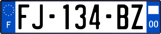 FJ-134-BZ