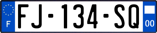 FJ-134-SQ