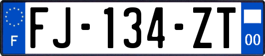 FJ-134-ZT