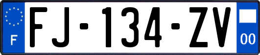 FJ-134-ZV