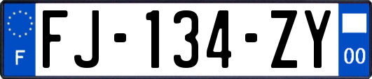 FJ-134-ZY