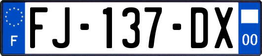 FJ-137-DX