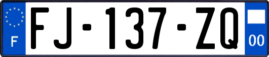 FJ-137-ZQ