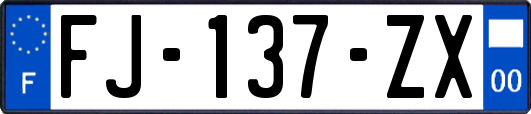 FJ-137-ZX