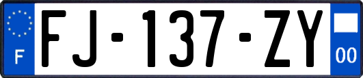 FJ-137-ZY