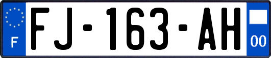 FJ-163-AH