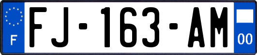 FJ-163-AM