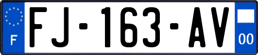 FJ-163-AV