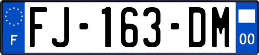 FJ-163-DM