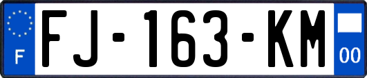 FJ-163-KM