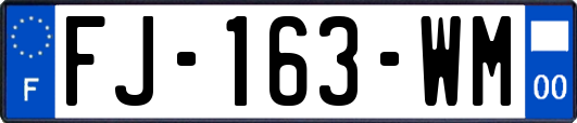 FJ-163-WM