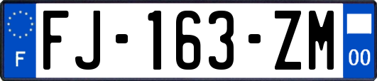 FJ-163-ZM