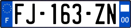 FJ-163-ZN